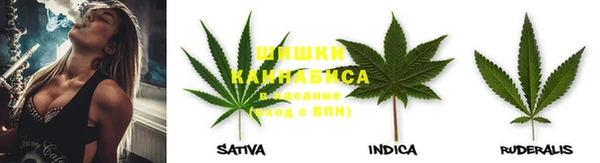 крисы Алексеевка