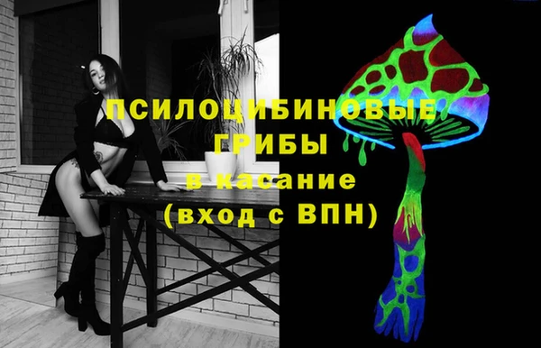 таблы Алексин