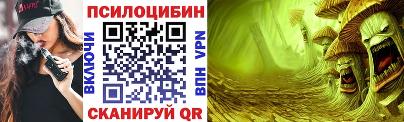 Галлюциногенные грибы Magic Shrooms  купить   Спасск-Рязанский 